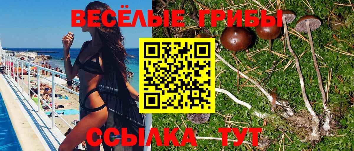 Галлюциногенные грибы MAGIC MUSHROOMS Бугуруслан