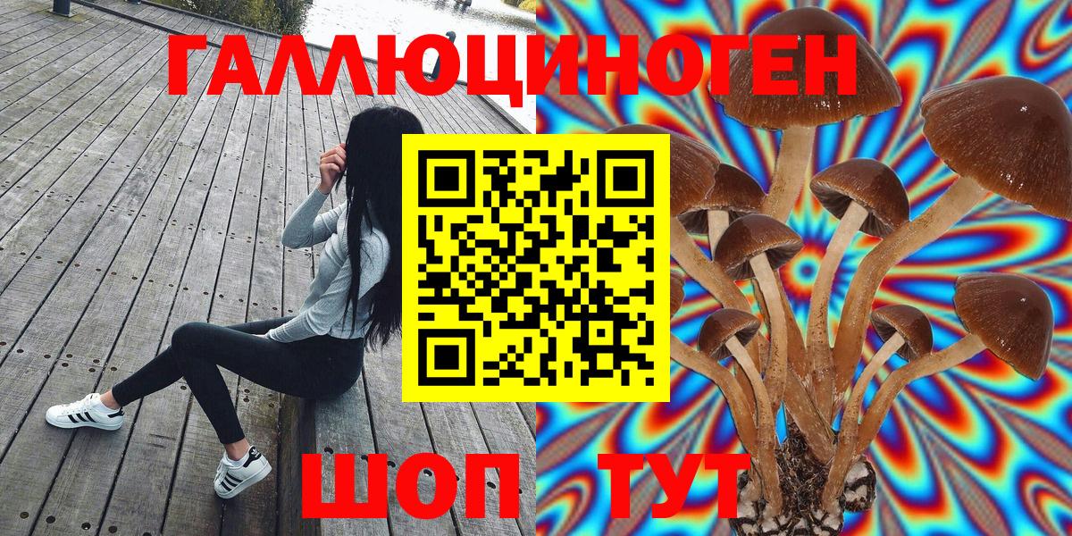 Псилоцибиновые грибы Psilocybe  Галлюциногенные грибы GOLDEN TEACHER  Вход с VPN  Бугуруслан 