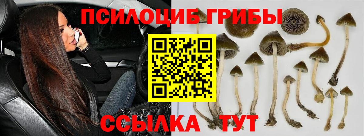 Меф  ЛЁД  МДМА  Кокаин  ГАШ  Бугуруслан  Бошки Шишки  Вход с VPN 